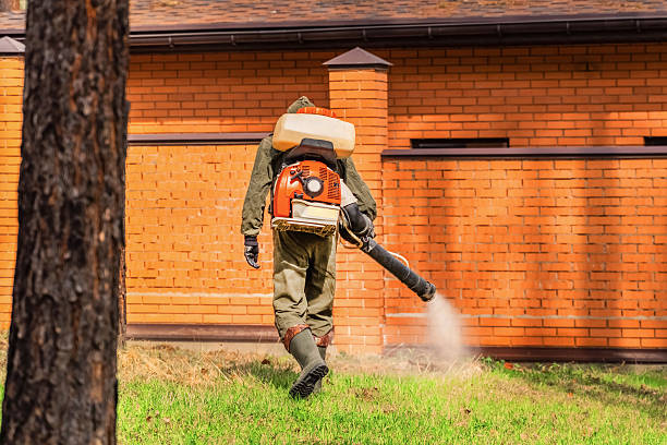 Top rated local Mosquito Control specialists in Georgetown, IN